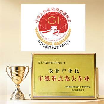 春上早茉莉花茶 新茶特级飘雪浓香型茉莉毛尖四川花茶160g送礼礼盒 /水饮冲调 /茗茶 /茉莉花茶 商品图4