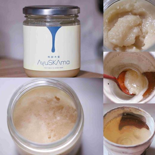 猫太推荐---【一口价】AyuSkAma鸭脚木蜜500g 商品图0