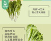 秉真安溪高山有机甜白菜/1份（约300g） 商品缩略图1