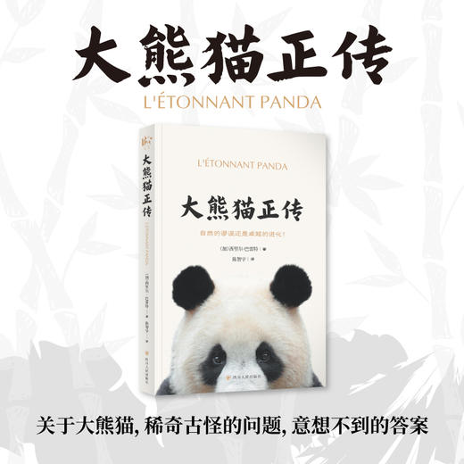 大熊猫正传 商品图2