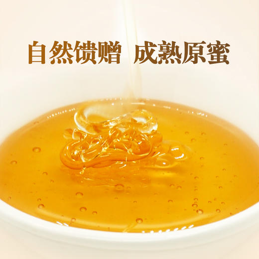 野菊花蜂蜜350g 清甜醇香 特色小蜜源蜜种 自然成熟优质原蜜 商品图1