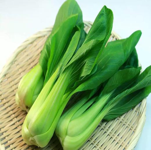 【YC】 新鲜农家自种小油菜 商品图2