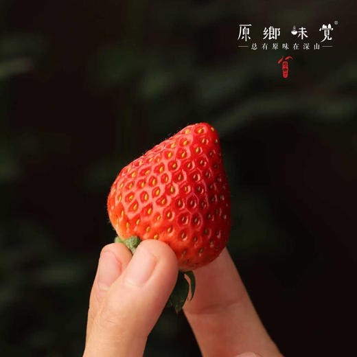 生态草莓（基地直发—顺丰空运）| 2斤装，来自河南汝州，生产者：曹云鹏【合作生产，公平贸易】 商品图6