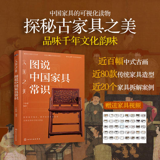 大国之美:图说中国家具常识 商品图0