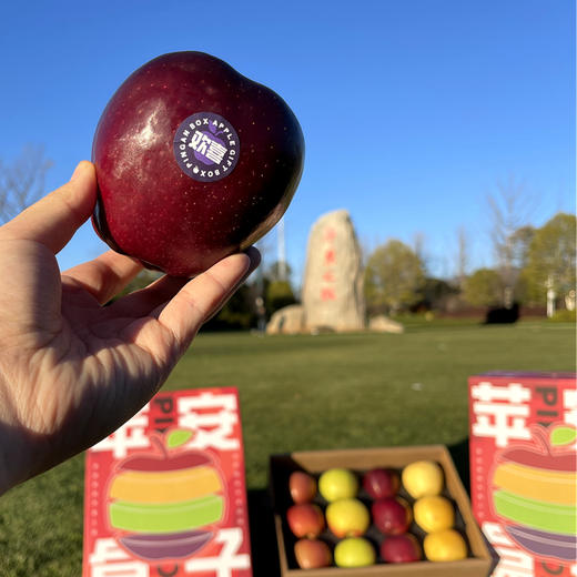 【产地直发】苹果盲盒 12枚礼盒装 多规格 商品图3