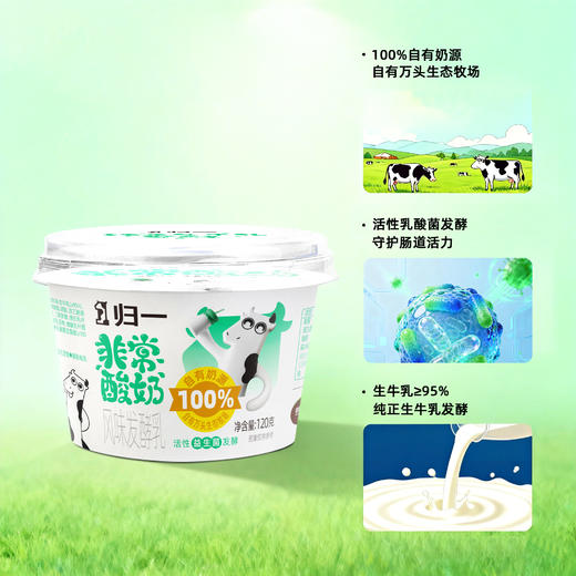 预售十天 归一非常酸奶风味发酵乳120g*12盒 自有奶源+活性益生菌的酸奶 商品图1