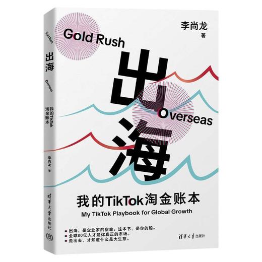 出海:我的TikTok淘金账本 商品图1