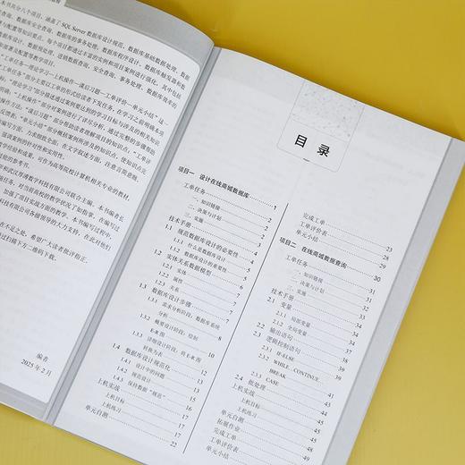 SQL Server数据库设计与开发教程 商品图4