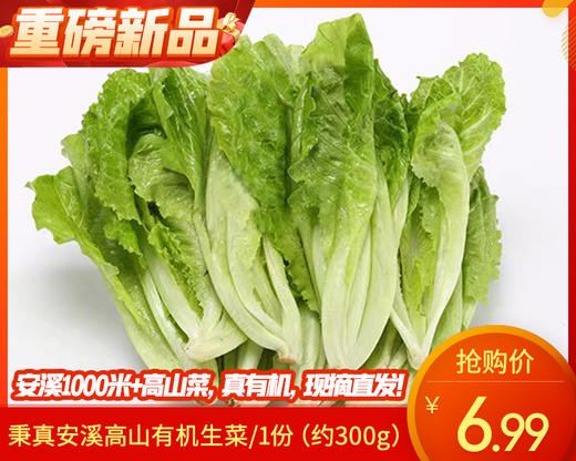 秉真安溪高山有机生菜/1份（约300g） 商品图0