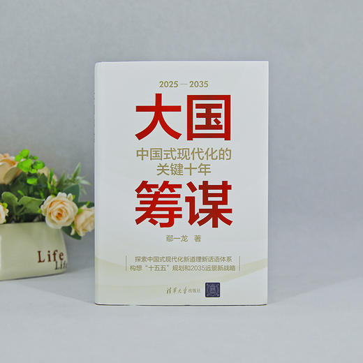 大国筹谋:中国式现代化的关键十年 商品图2