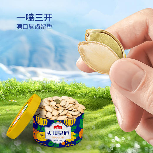 天山皇后瓜子礼盒装 1308g/盒 商品图11