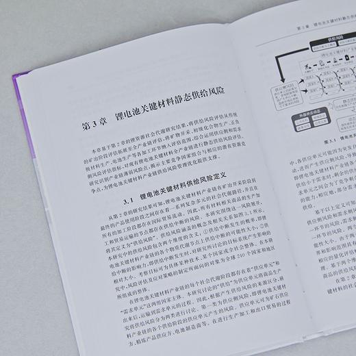 锂电池关键材料全产业链供给风险及应对策略研究 商品图2