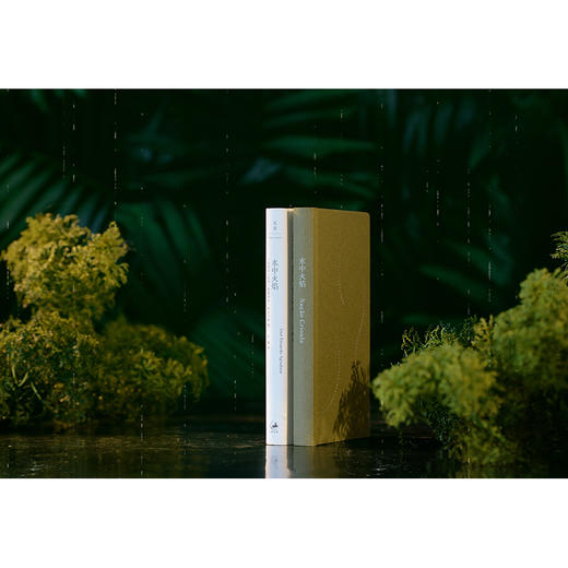 水中火焰 商品图3