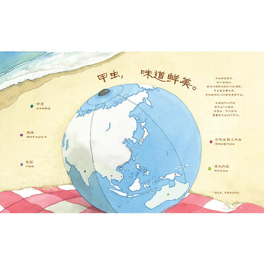 甲虫，如此害羞-美丽成长 商品图4