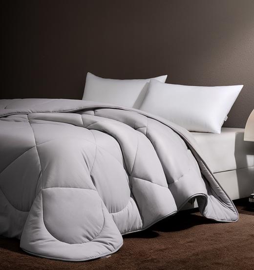 去年爆卖10W+的大豆被来了❗【水星臻选暖云灰屿石墨烯大豆被】安心+保暖+舒适+抑菌，❤️原生态的纯粹本质！☁️云朵般的包裹体验 ✨自带抑菌BUFF！ 商品图2