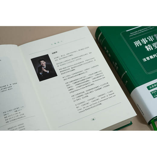 刑事审判精要:法官裁判思维与进路 商品图3
