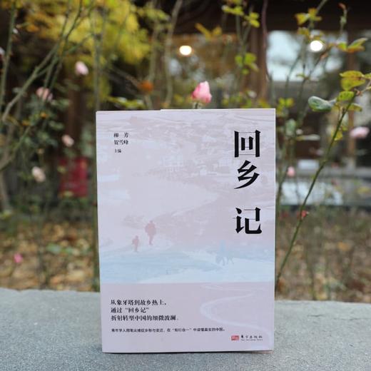 回乡记 商品图3
