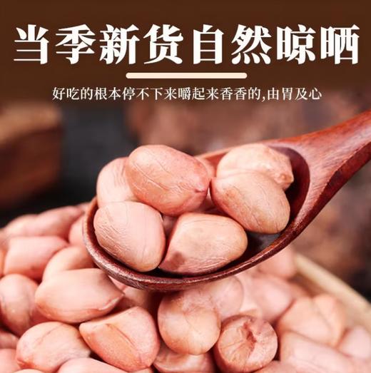 【YC】现剥新花生米五谷杂粮粒大米新货花生粉皮大粒花生米无壳 商品图2