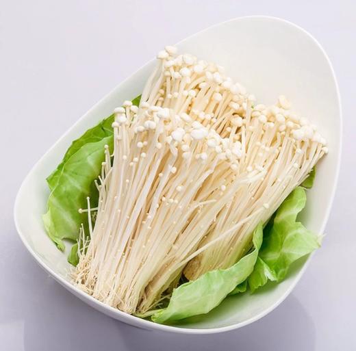 【YC】新鲜金针菇  火锅烧烤新鲜蔬菜 现摘直发 商品图2