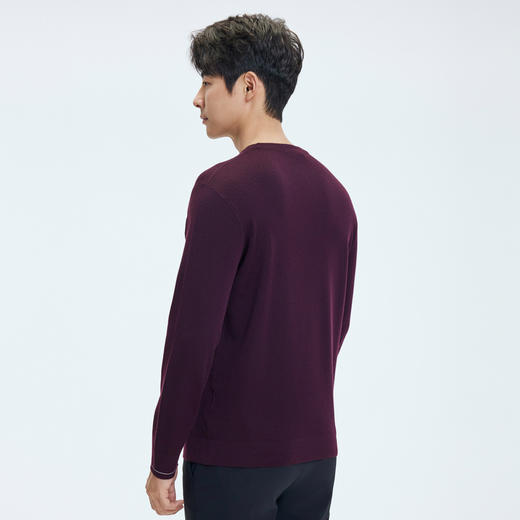 【门店同款&含绵羊毛】圣得西冬季打底质感羊毛衫25年男士针织衫 商品图2