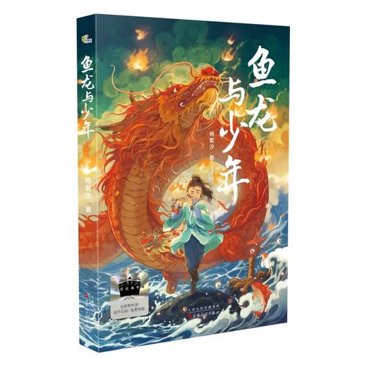 鱼龙与少年 商品图4