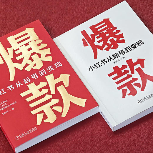 爆款:小红书从起号到变现 商品图1