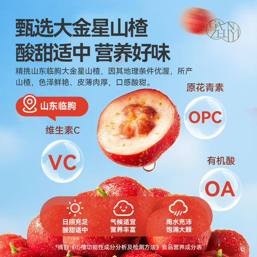 甘之颐 桑葚山楂条250g Q弹不粘腻 开胃零食 大人小孩都爱吃 商品图2