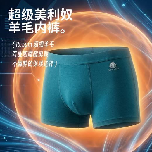 9 号停发 冬季限定 · 15.5 微米美利奴羊毛内裤 商品图0