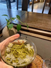 茉莉花茶-碧潭飘雪2025年，传统工艺制成，花香浓郁纯净，回味甘甜~ 高性价比 商品缩略图4