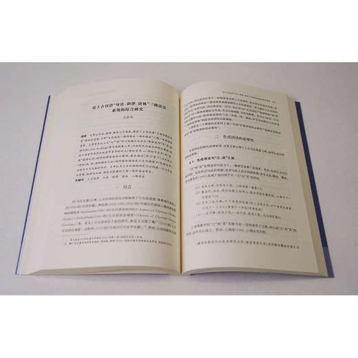 语体语法理论构建与前沿研究 商品图4