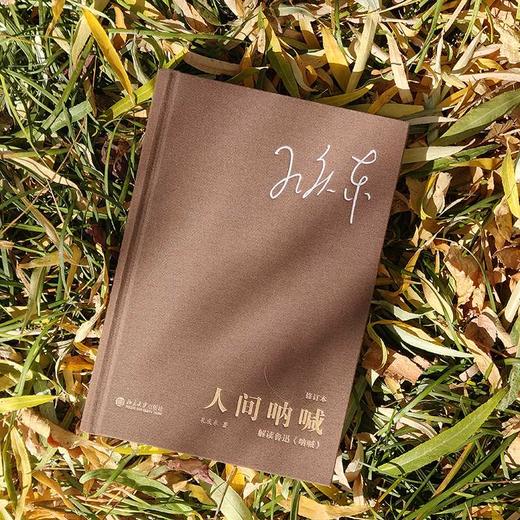 人间呐喊:解读鲁迅《呐喊》(修订本) 商品图4