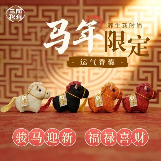 香囊·可挂脖佩戴款 | 精心组方 ，芳香辟秽 ，护持健康 | 老人小孩皆宜 | 根据五运六气调制 商品图0