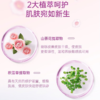 Free飞 山茶花精华纯棉特长夜用420mm卫生巾(Q89) 3片 商品缩略图2
