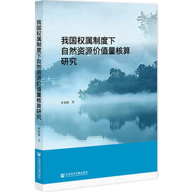 我国权属制度下自然资源价值量核算研究