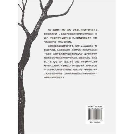 过程模型:暗含的哲学 商品图3