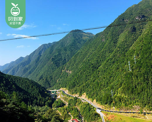 菇芯语生态香菇/1包（300g）生产日期：12月23日 商品图11