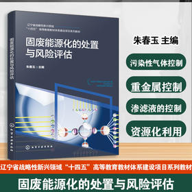 固废能源化的处置与风险评估