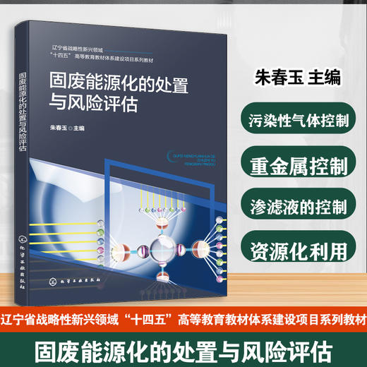 固废能源化的处置与风险评估 商品图0