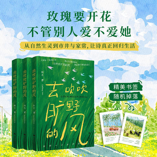 去吹吹旷野的风 商品图0