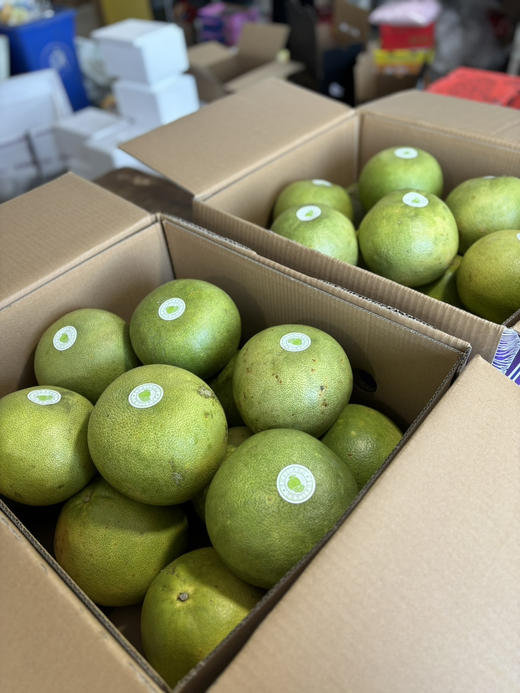 泰国白蜜柚 清甜爽口 肉嫩多汁 商品图2