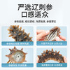 珍品堂即食海参 大连原产 辽刺参 肉质饱满 参壁厚实 口感鲜美 商品缩略图1