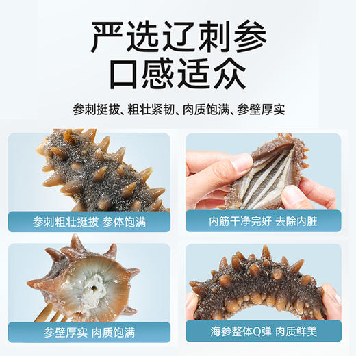 珍品堂即食海参 大连原产 辽刺参 肉质饱满 参壁厚实 口感鲜美 商品图1