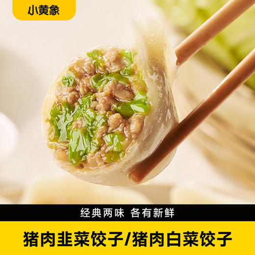 【赠长长肠70g*2袋】小黄象猪肉白菜/猪肉韭菜饺子双口味 商品图0