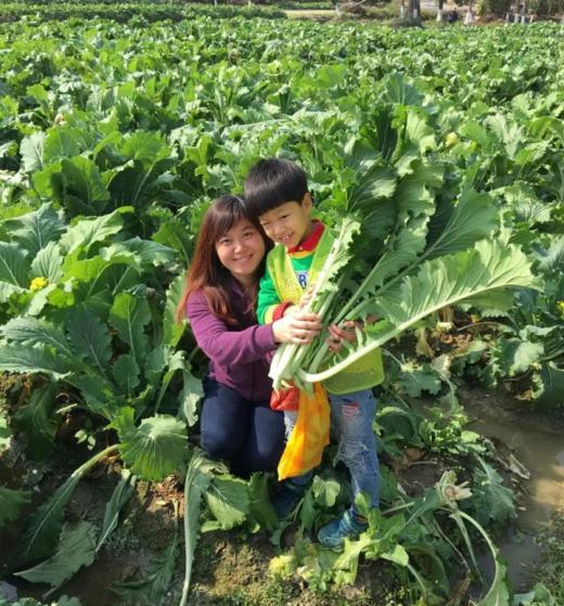 增城迟菜心秋日野趣营 商品图1