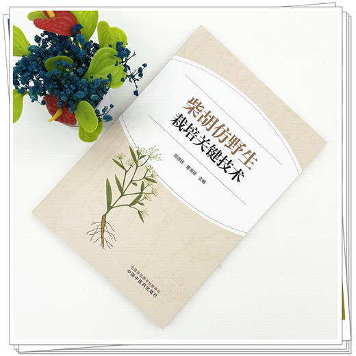 柴胡仿野生栽培关键技术 高德民 曹海禄 内容涵盖了微生态研究生物学研究 以及多重实时荧光PCR检测方法的建立 中国中医药出版社 商品图2