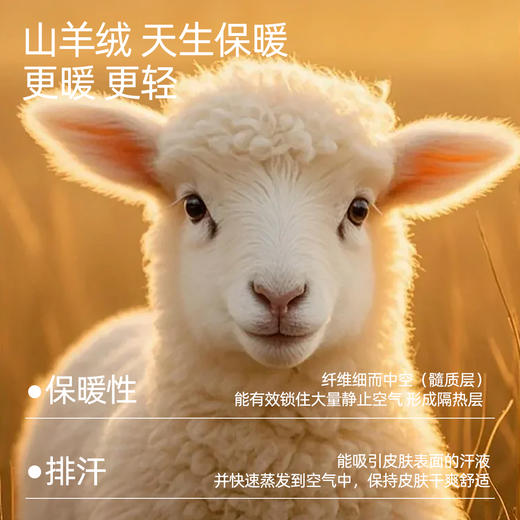 【羊毛蚕丝中领】熳洁儿 320克加厚情侣款保暖上衣裤子随型裁25707131/25707931/24707931 商品图1