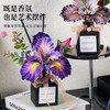 精油香氛（铃兰映叶） 商品缩略图4