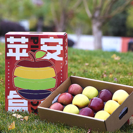 【产地直发】苹果盲盒 12枚礼盒装 多规格 商品图0