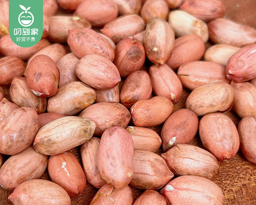 悠原柴火花生/1袋（500g）生产日期：12月28日左右 商品图1