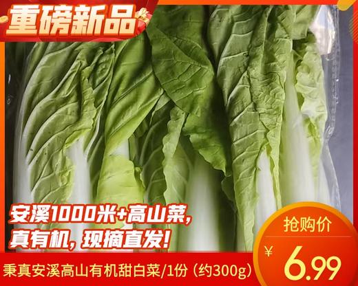 秉真安溪高山有机甜白菜/1份（约300g） 商品图0